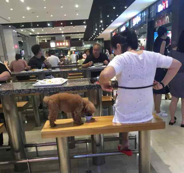 用餐具喂狗喝奶茶 人狗共用餐具引争议