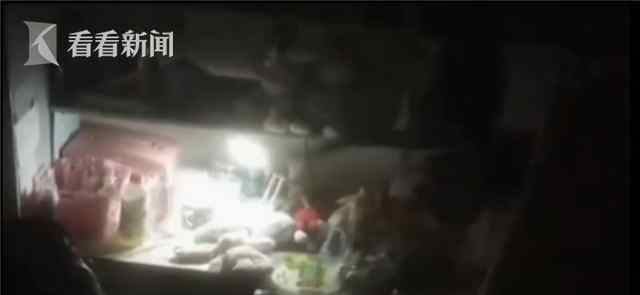女大学生寝室虐猫 如果不爱请不要伤害