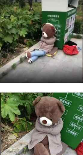 医学院被遗弃的小熊 具体是啥情况?