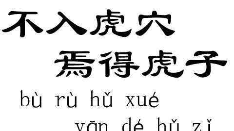 什么焉得虎子的上一句 【每日一句越南语】-不入虎穴，焉得虎子