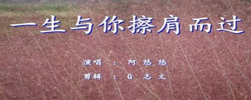 一生与你擦肩而过在哪个节目