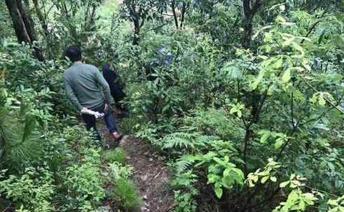 民警深山追捕嫌犯 渴了就喝点雨水饿了就吃点烧土豆