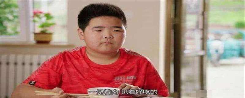 乡村爱情12腾飞离家出走是第几集