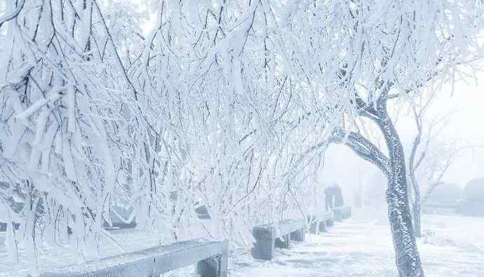 庐山下雪 真相到底是怎样的？