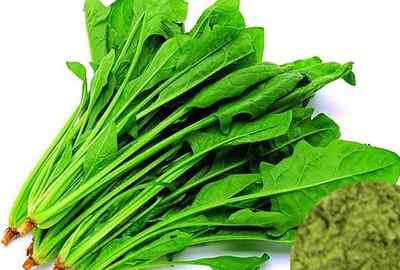 哪些水果孕妇不能吃 孕妇不能吃哪些食物！禁忌！文章配图