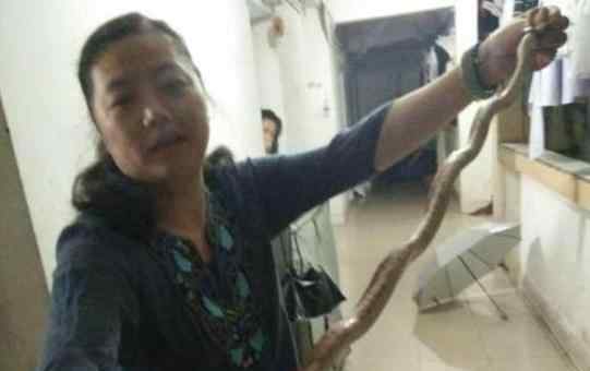 南昌高校一女教师徒手抓1.6米长蛇 然后煮着吃了！