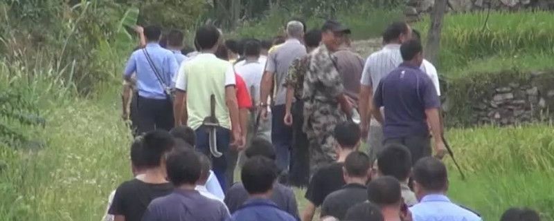 主播拍案少女杀人案是哪一期