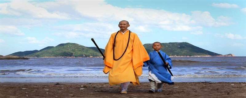 少林寺淳延是什么电视