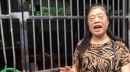 贷款养狗父母还债 事件详细经过！