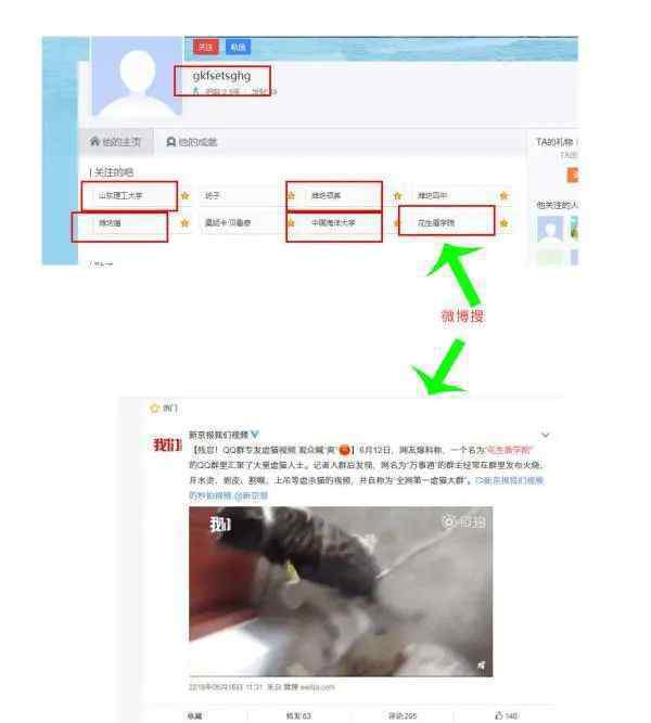 拍摄虐猫视频大学生道歉 真相原来是这样！