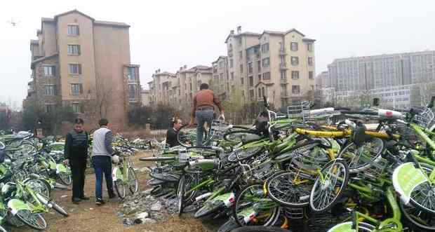 杭州共享单车被弃荒野 各品牌各色单车密密麻麻场面壮观