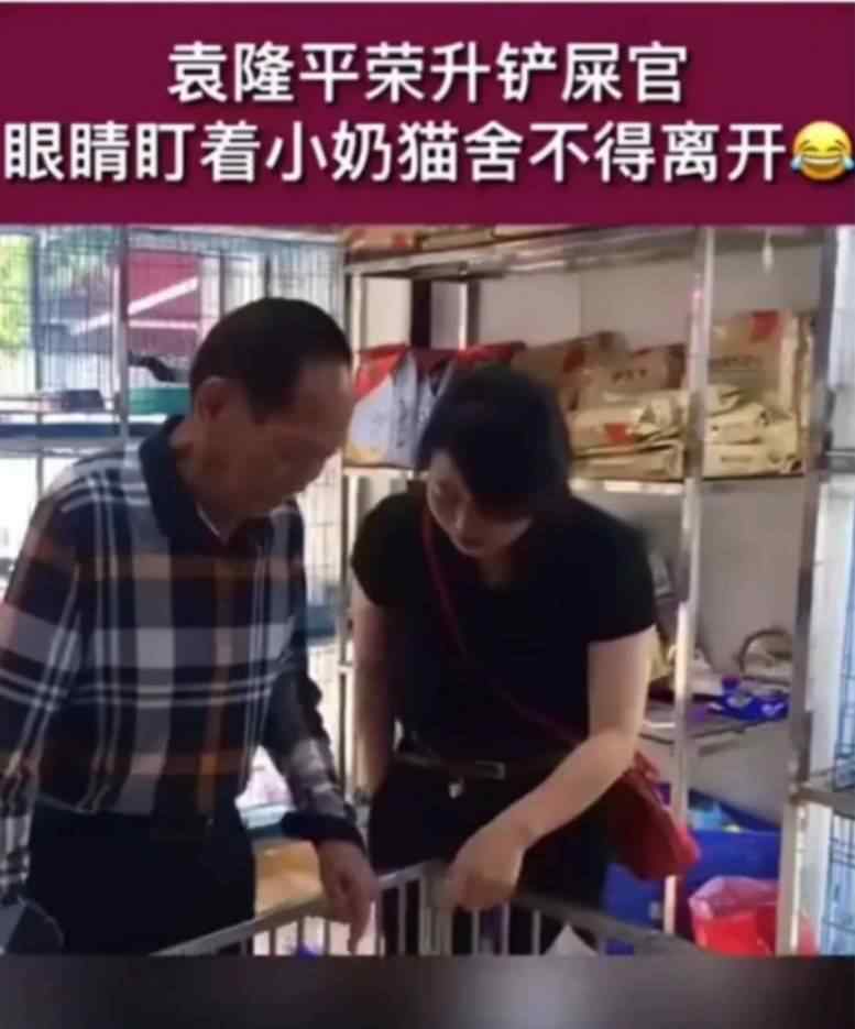 袁隆平养猫了 登上网络热搜了！文章配图