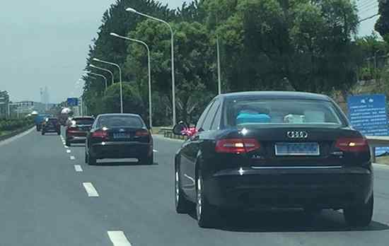 公车牌奥迪成婚车 官方：以前是公车所有权转给了国有企业