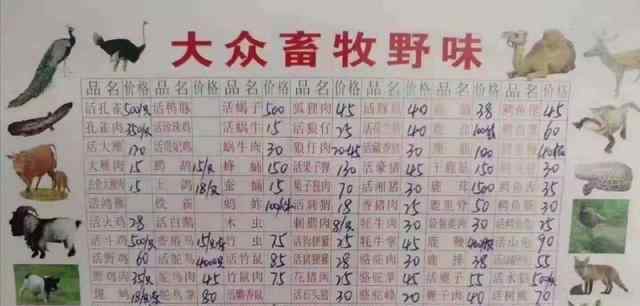 武汉市场野味菜单 过程真相详细揭秘！