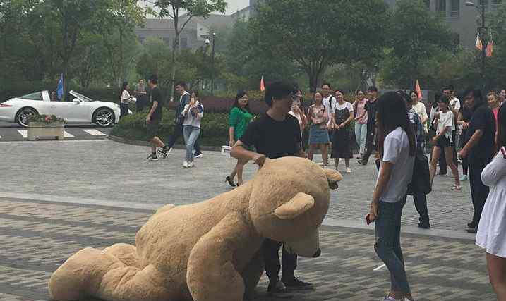 男子送大熊表白 女生表示：我喜欢熊但不喜欢你！