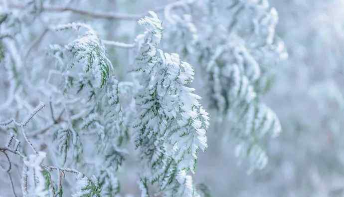 庐山下雪 真相到底是怎样的？