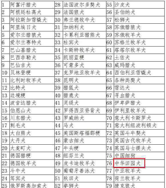 吉林四平拟禁养中华田园犬 目前是什么情况？文章配图
