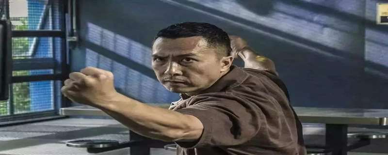 一个人在监狱里很能打的电影