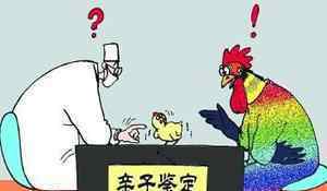 男子长得不像爸致父母离婚 这是怎么回事？