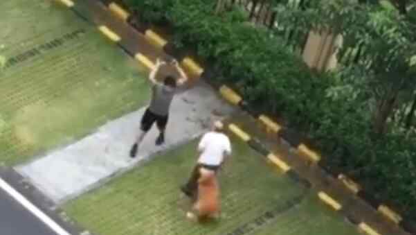 打死金毛犬被刑拘 这意味着什么?