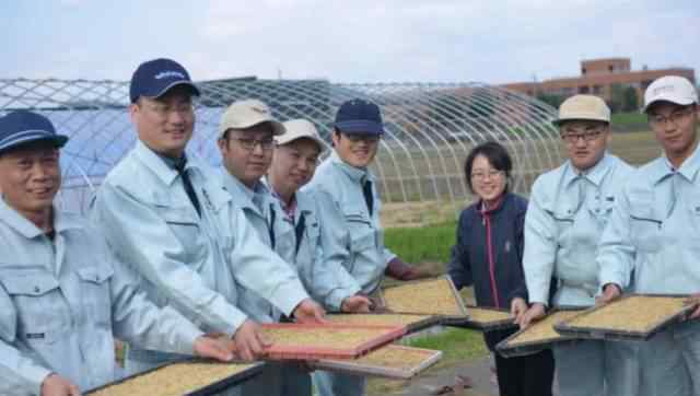 揭秘华西村：女不外嫁 开豪车种田