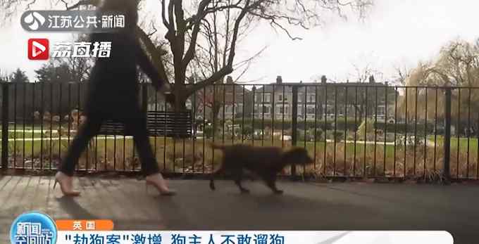 为了给居家隔离找个伴 英国劫狗案激增170％！狗主人：不敢遛了