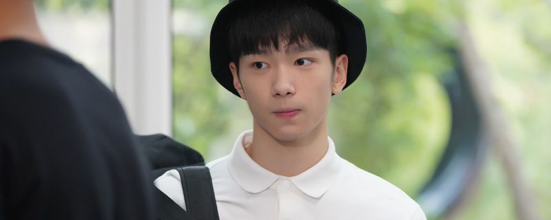 亲爱的 热爱的戴风扮演者