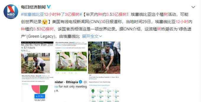 12小时种3亿棵树 目前是什么情况？