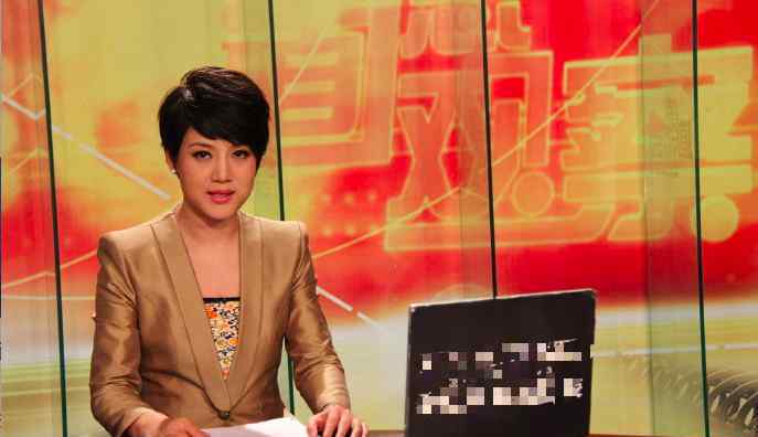 央视女主播家产案 真相原来是这样！