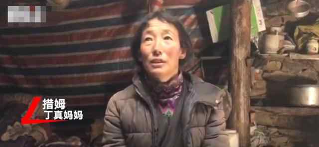 丁真妈妈回应儿子入职国企 事件详细经过！