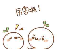 漳州技术学院 漳州即将新增一所本科大学！你知道是哪一所吗~~~