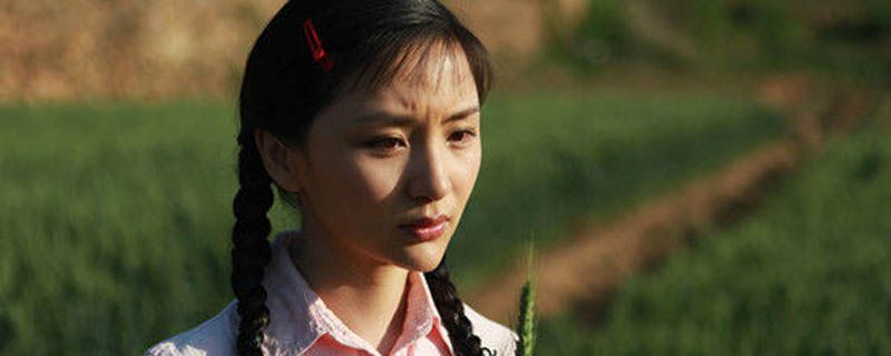 葵花进城结局