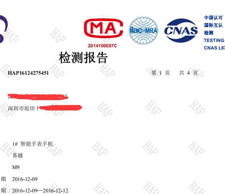 出厂检验报告模板 智能手环CMA检验报告模板