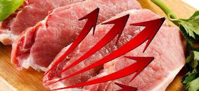 猪肉地产式调控 目前是什么情况？