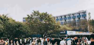 电子科技大学成都学院教务系统 我的青春，叫电子科大成都学院！
