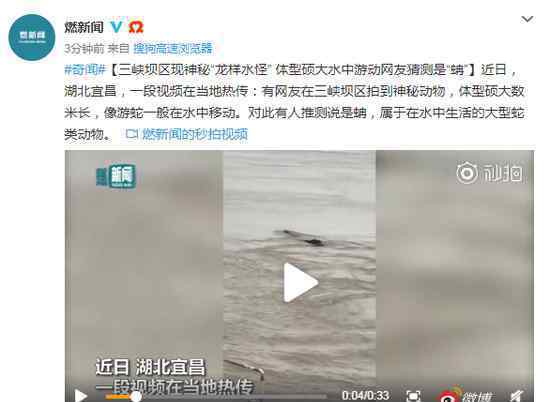 三峡坝区神秘动物 目前是什么情况？