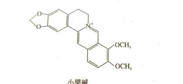 盐酸小檗碱片 店员经典培训教材：盐酸小檗碱片与盐酸小檗胺片的区别