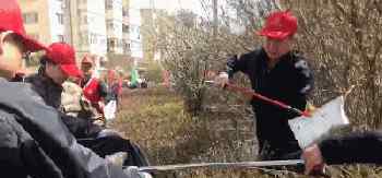 义务劳动心得 义务劳动，就是干！｜哈尔滨全城总动员