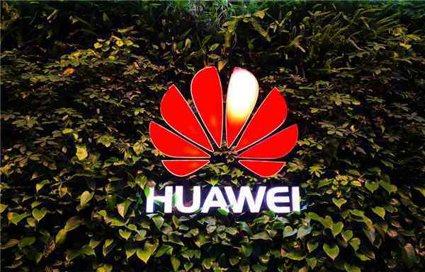 北大教授退出IEEE 真相到底是怎样的？