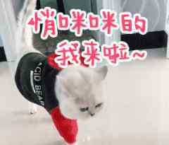 苹果手机静音闹钟会响吗 原来iPhone自带的闹钟这么好用？这个功能你不用就亏了