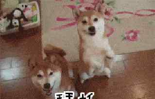 苹果手机静音闹钟会响吗 原来iPhone自带的闹钟这么好用？这个功能你不用就亏了
