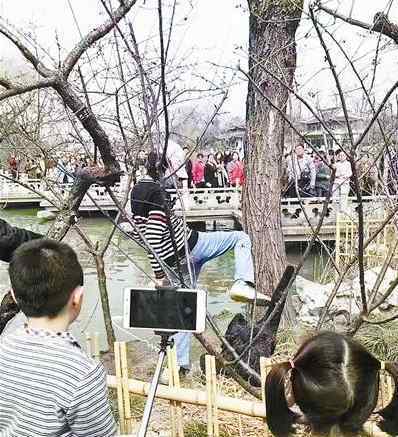 男子在景区踹天鹅 天鹅护蛋其中一只朝天空吼叫