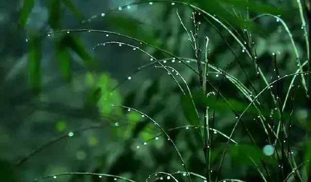 形容雨的唯美句子 30句古诗词中描写“雨”的名句集锦，不可错过的唯美意境文章配图