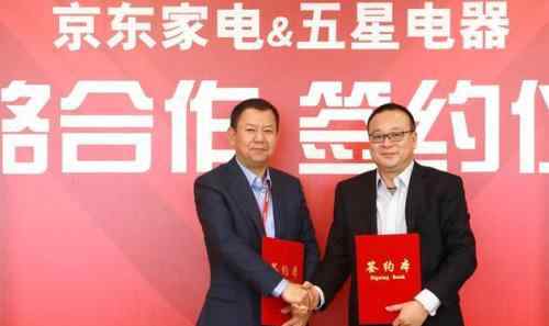 江苏五星电器 京东时代的五星电器，又将会错失什么？