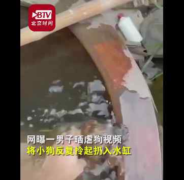 男子虐杀小狗直呼真好玩 究竟是什么情况?始末详情回顾