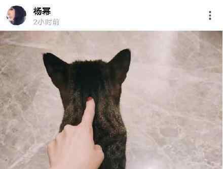 杨幂魏大勋同款文案是怎么回事 杨幂魏大勋要结婚了吗