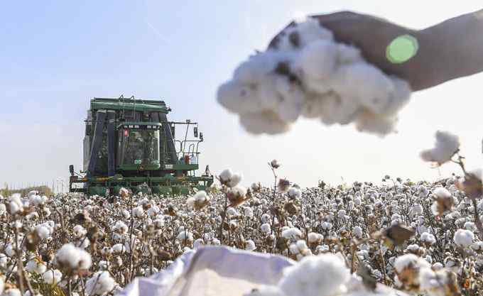 中国每年需进口200万吨左右棉花 新疆棉花自己还不够用！