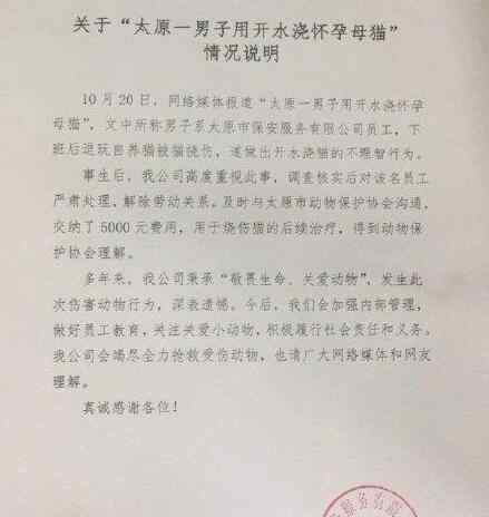 用开水烫怀孕母猫男子被开除 网友：简直毫无人性