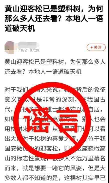 黄山风景区辟谣迎客松为塑料树 目前生长良好