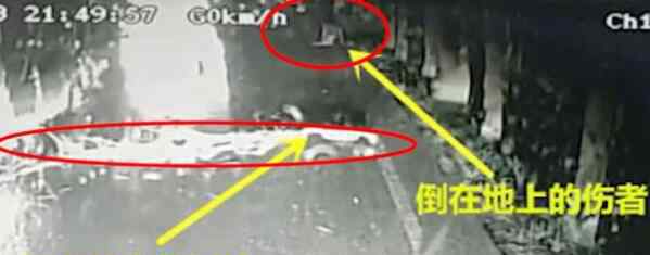 天降枯树枝砸死过路六旬老太 事故责任该由谁来承担